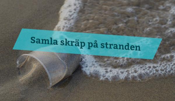 Samla skräp på stranden