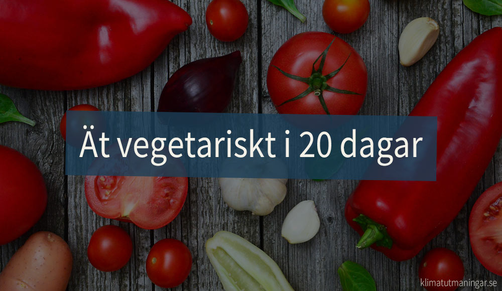 Ät vegetariskt i 20 dagar